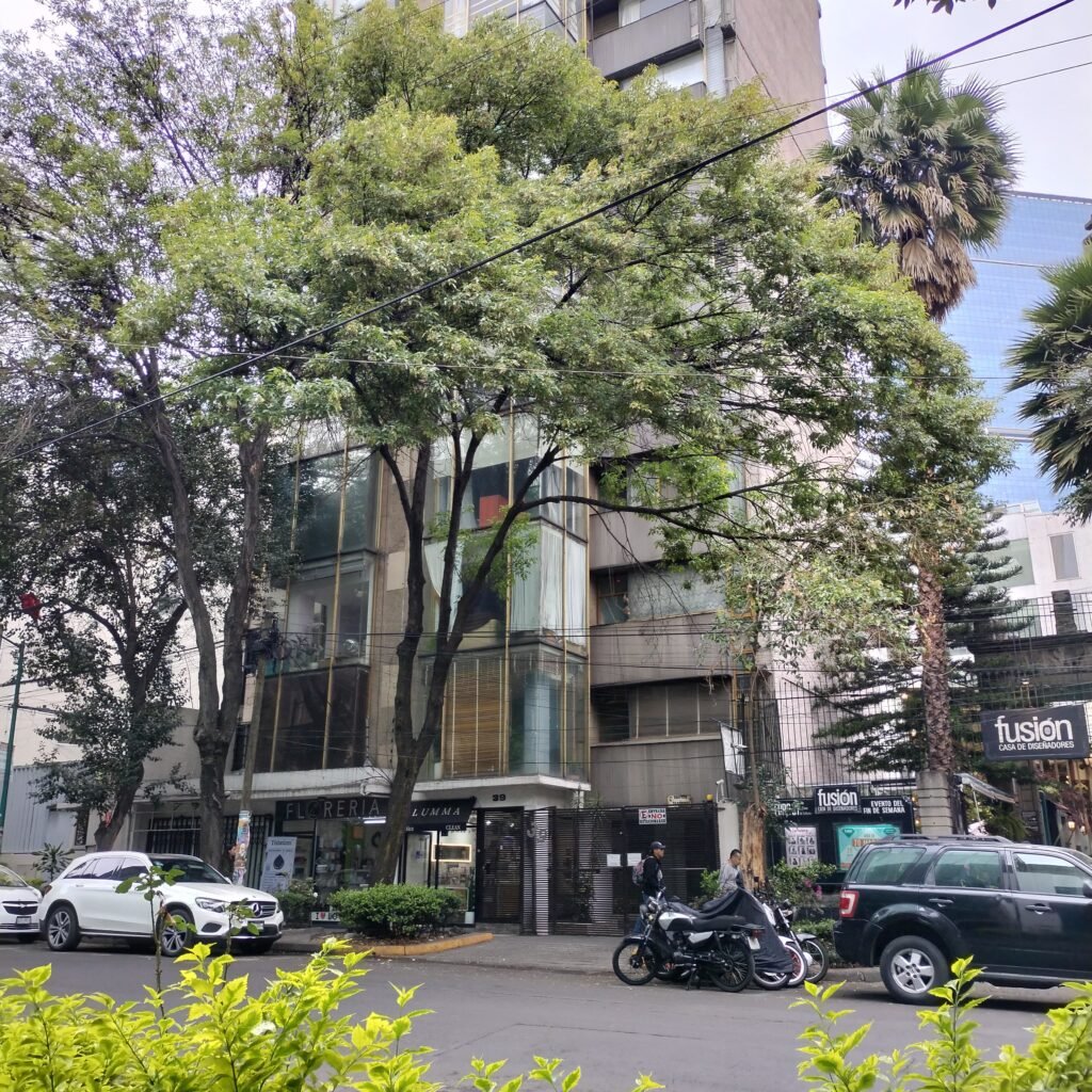 Depa En Renta Col Juárez, 2 Rec, 2 Baños, 1 Auto, A Una Cuadra De Reforma E Insurgentes
