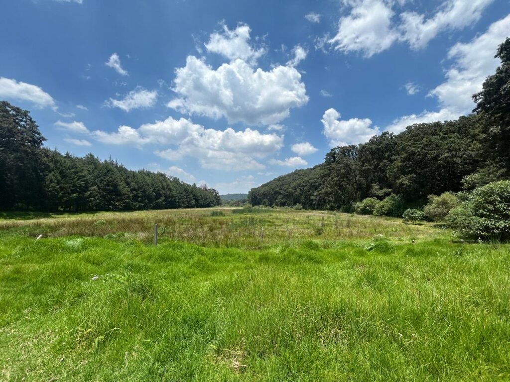 Rancho en Venta en Jilotzingo 30 Ha